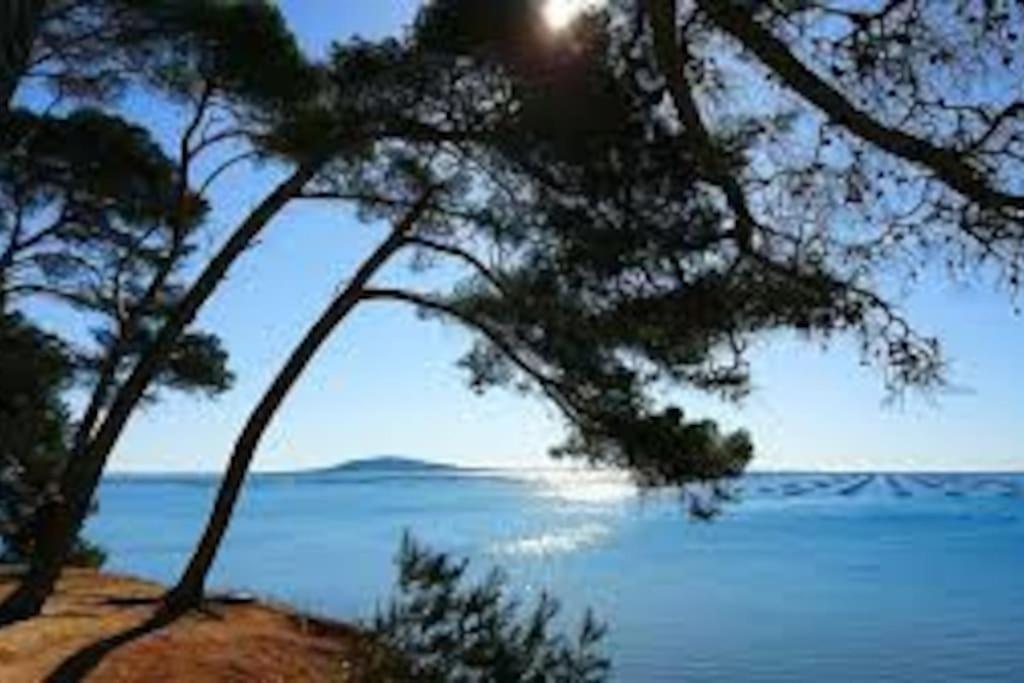 Appartement Cosy A 50 M De La Plage Et Du Port Mèze Εξωτερικό φωτογραφία